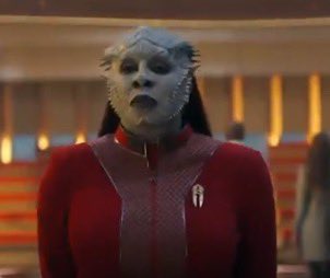 There are no female Jem’hadar. The Jem’hadar are a genetically engineered race created to be warriors for the Dominion. Their entire existence is focused on the kill. This just further proves the people making Star Trek truly don’t give a flying fuck about it.