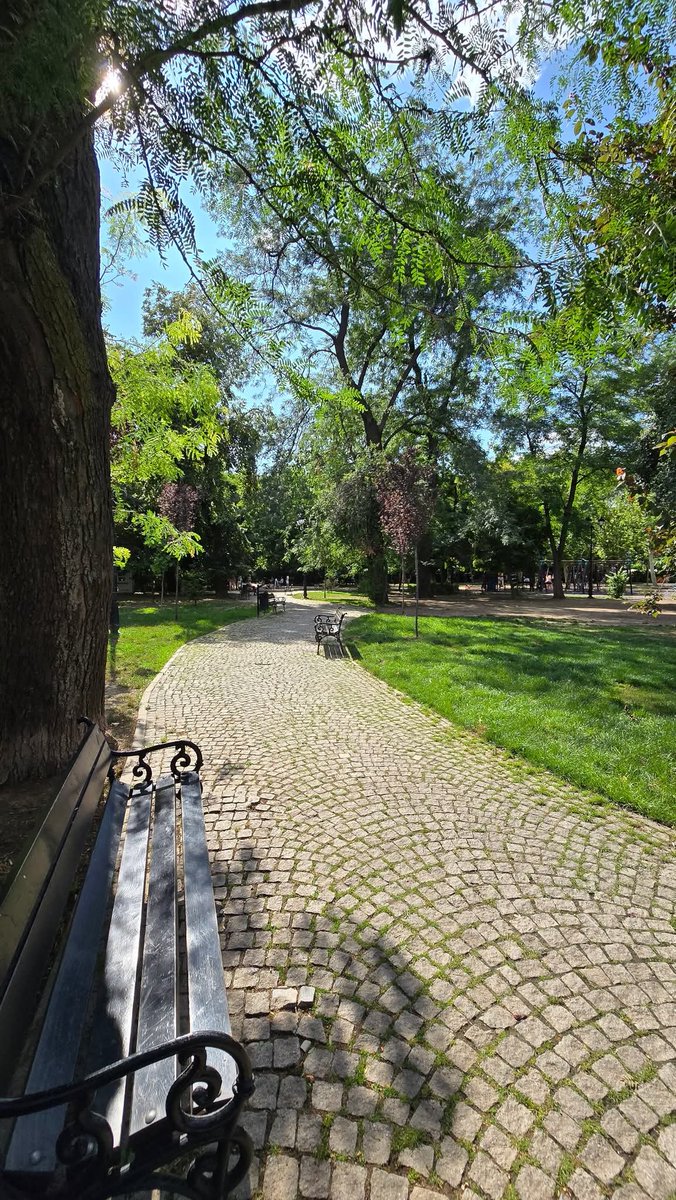 xyzwtf_55's tweet image. Thought heat might has been gone but i was wrong..☀️☀️
#photography
#photographer
#Bucharest