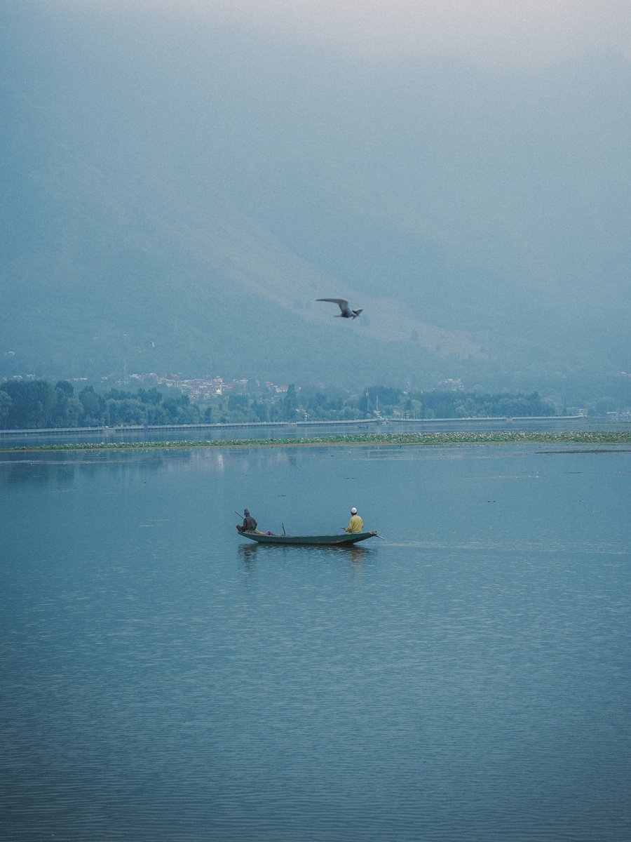 Dal lake Srinagar ❤️