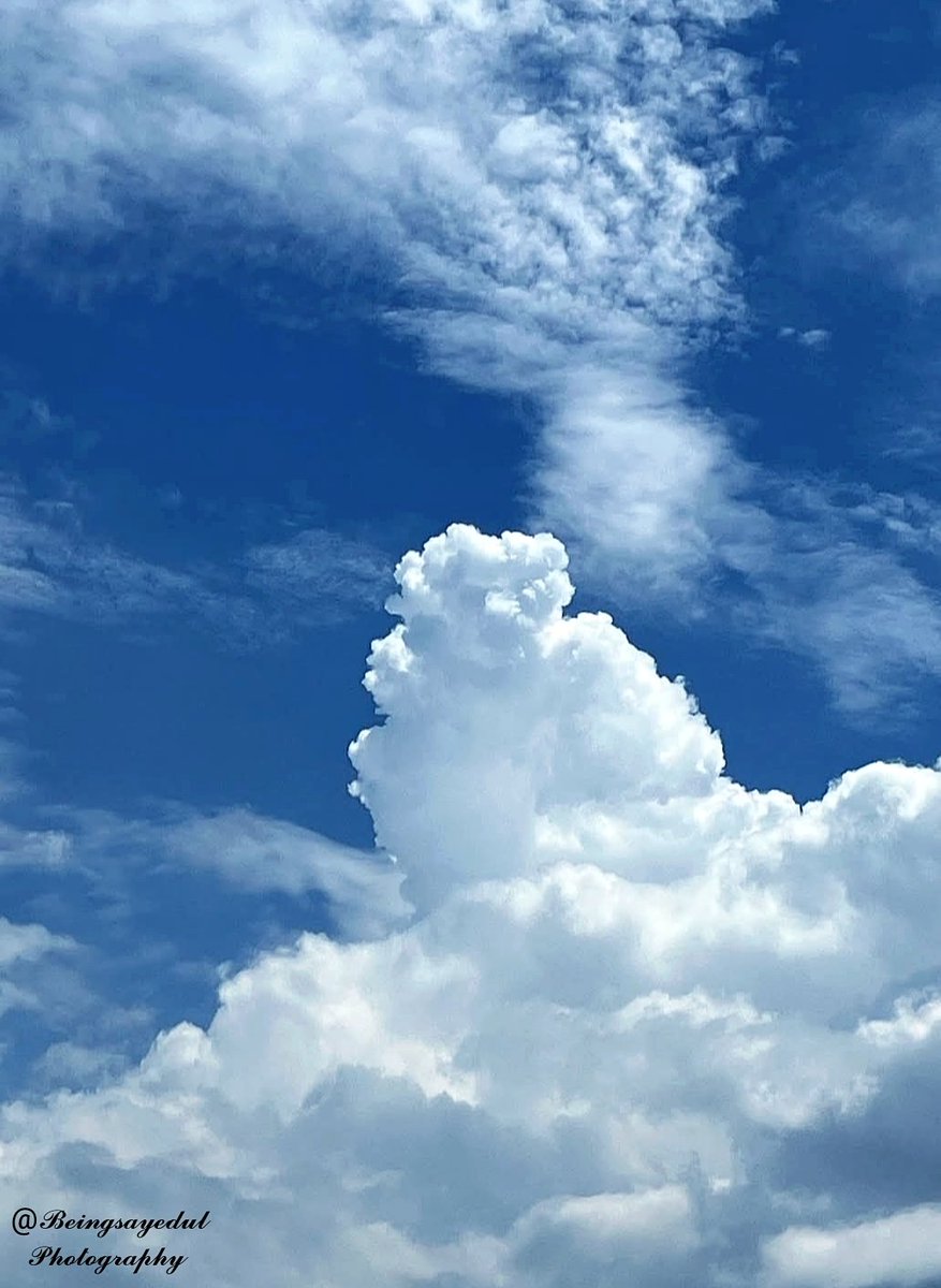Beingsayedul's tweet image. Post a Picture you took. Just a pic. No description.