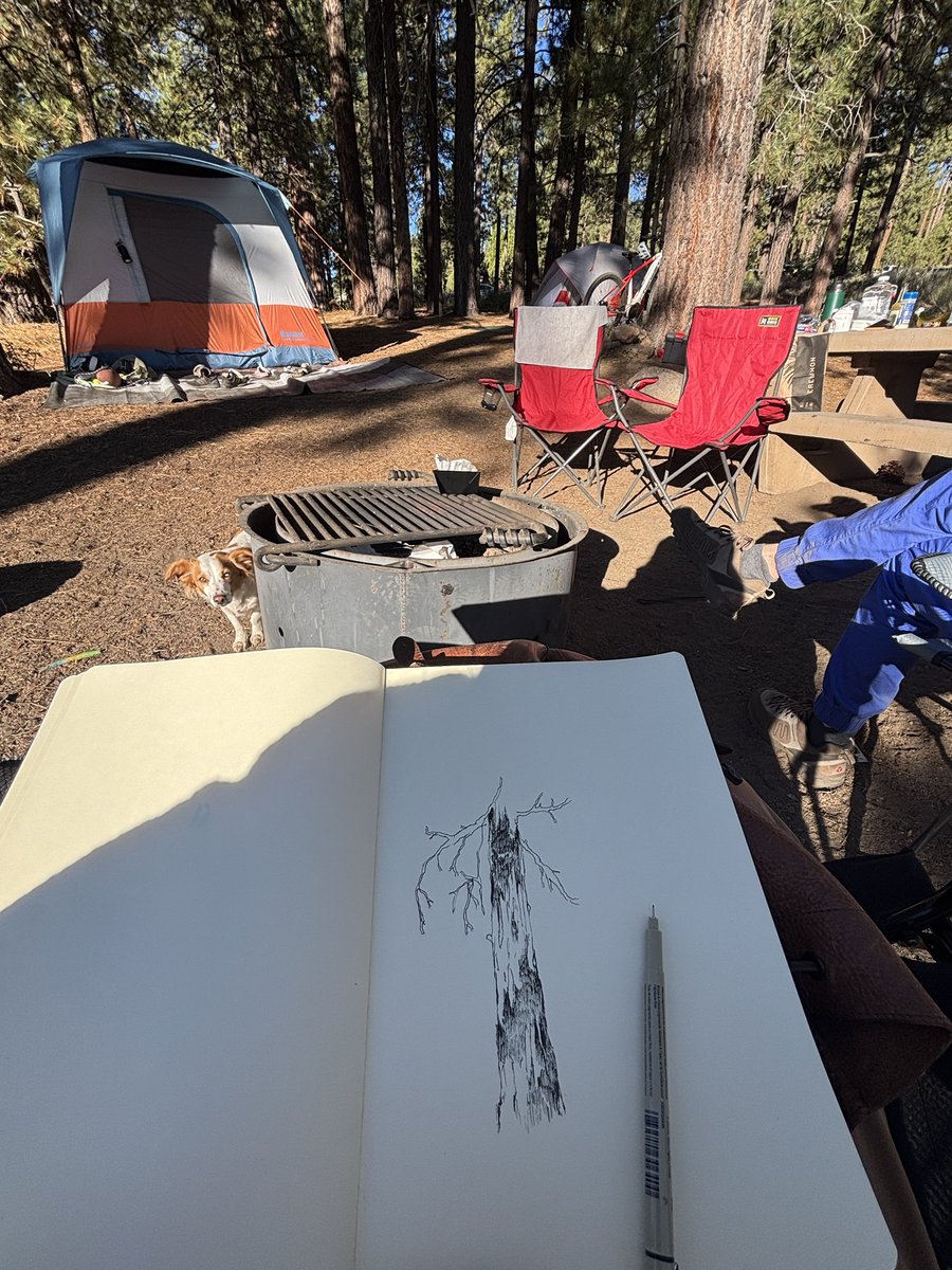 gm....wherever you are 🌞