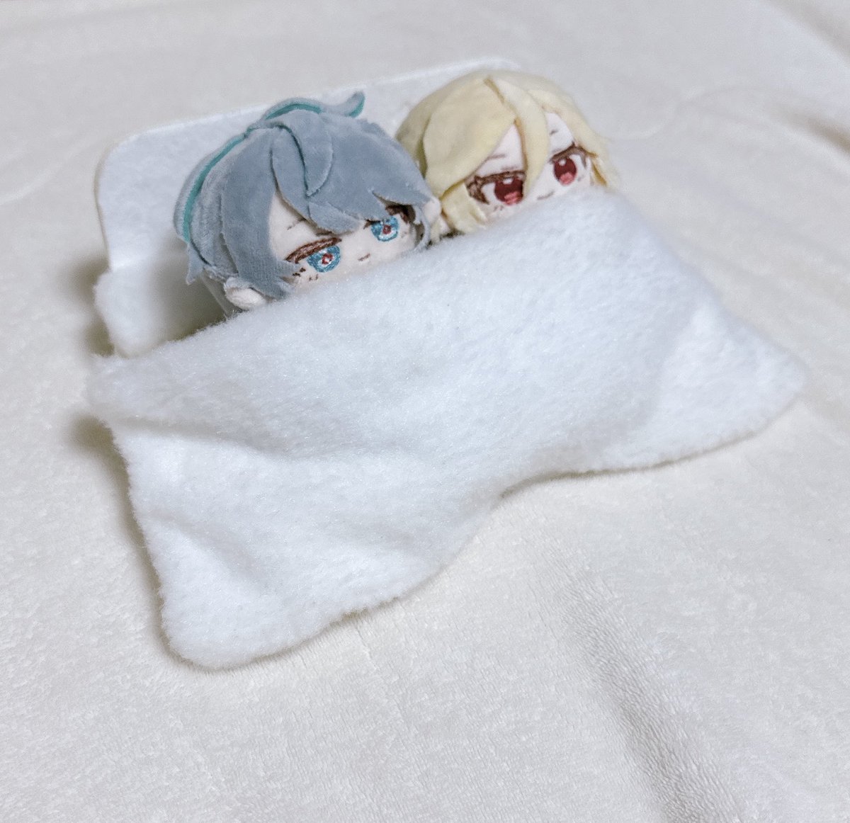 mimei_rm's tweet image. ぬい愛で