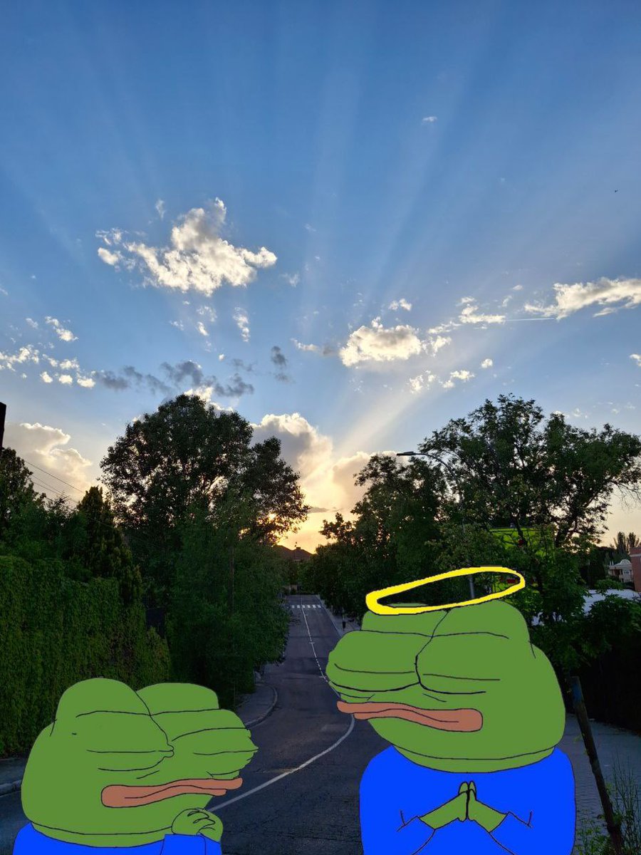 XXPrimarch's tweet image. GM and have a blessed Sunday frens