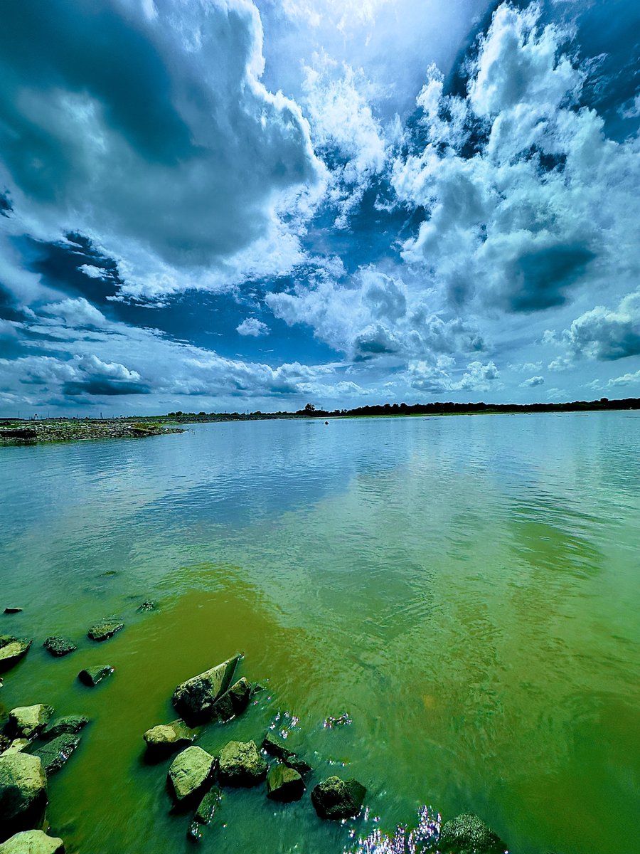 TanManJr's tweet image. I’m getting better with this photography thing. #📸