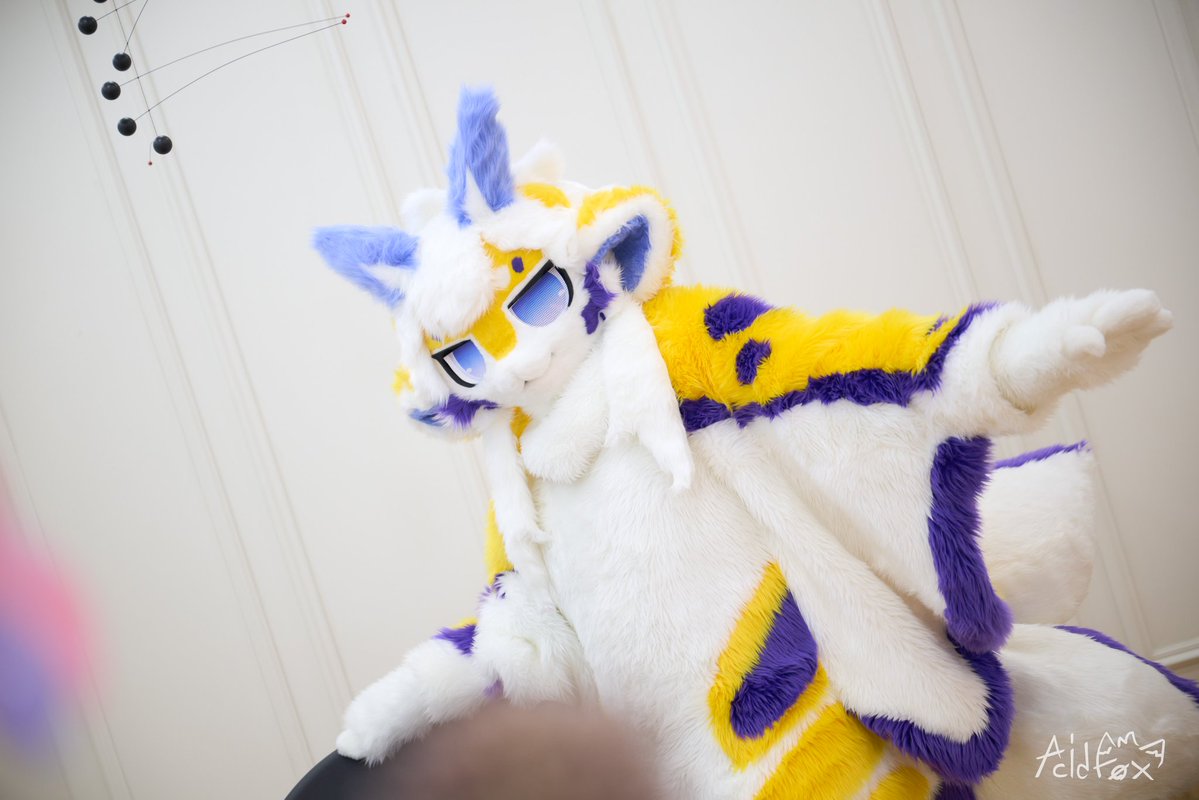 bluefox_kr's tweet image. [#130] Miya
#bluefox #fursuit