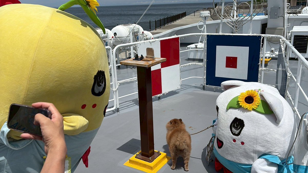 funassyi's tweet image. みんなー今日も一日お疲れ様なっしー♪
ヾ(。゜▽゜)ノ ブシャラジオ見に来てくれてありがとうなっしなー♪スペシャルゲストのたぬぴーをふにゃから預かったけど可愛かったなっしなー♪どうやらもうおネムのだそうなっしー♪また会えると良いなっしー♪
明日も元気に過ごせます様に梨汁ブシャー:*…