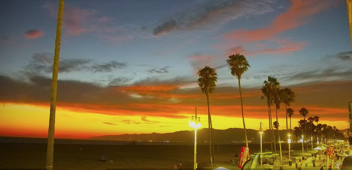 venicetheseries's tweet image. About last night... it was lovely!