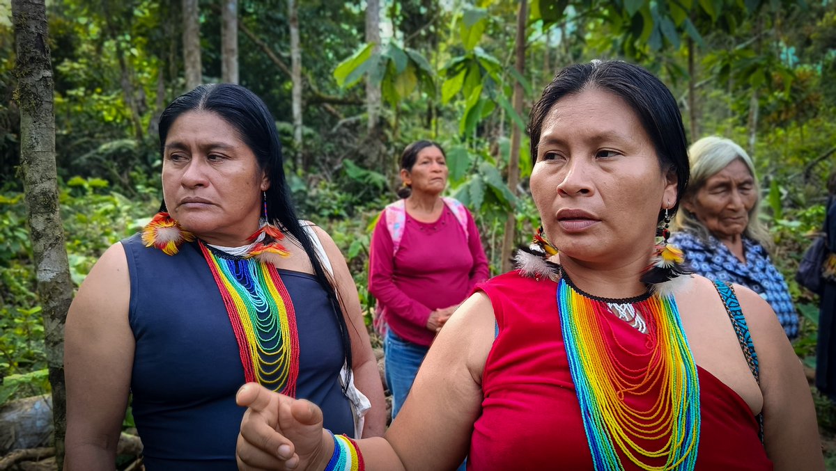 🌿 Sabiduría viva en defensa de la Amazonía 🌿
En el marco del proyecto Amazonía Esencia Viva, las sabias de NASHE compartieron sus conocimientos ancestrales sobre el uso medicinal de las plantas, fortaleciendo así la transmisión intergeneracional en sus territorios.

🌱