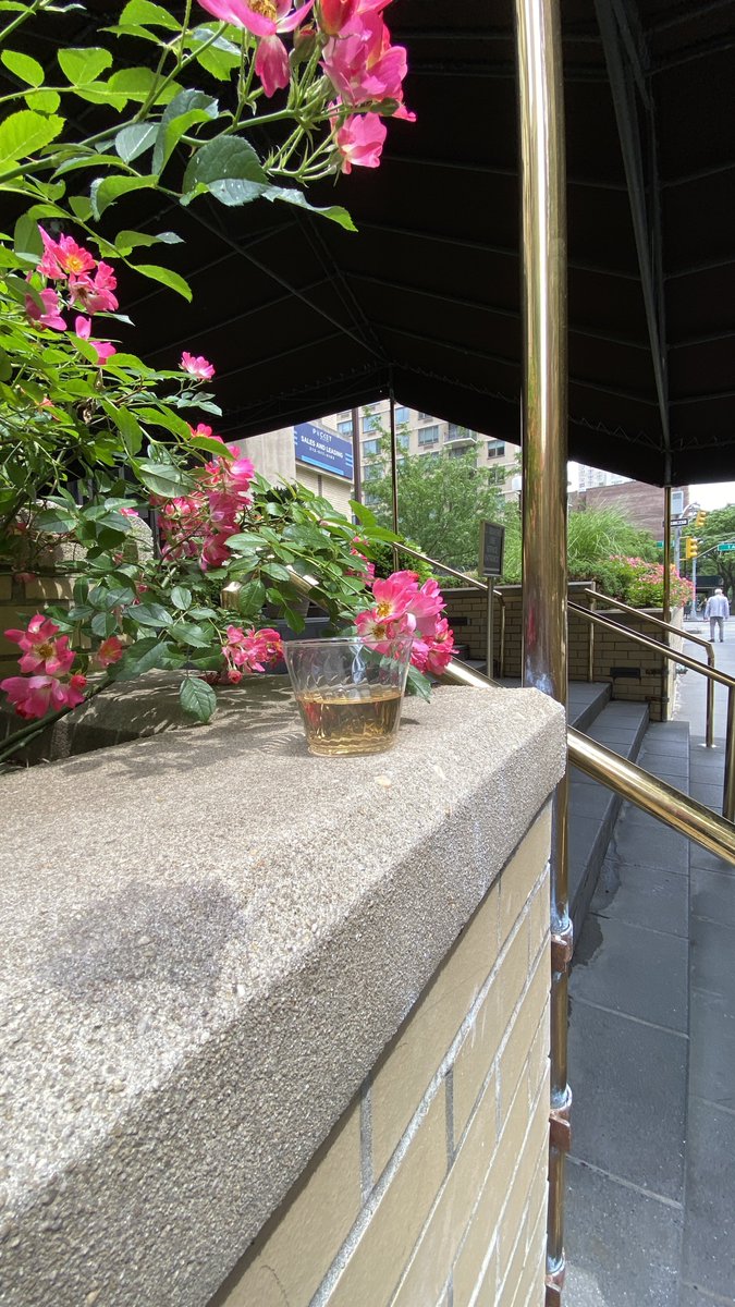 #ShakespeareSunday 

After summer merrily.
Merrily, merrily shall I live now
Under the blossom that hangs on the bough.

Tempest, V, 1
.