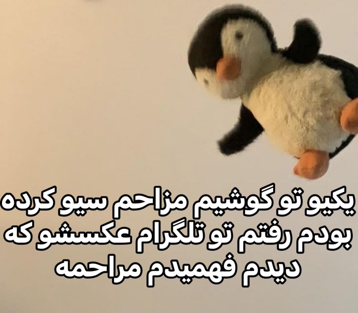 379Talks's tweet image. 