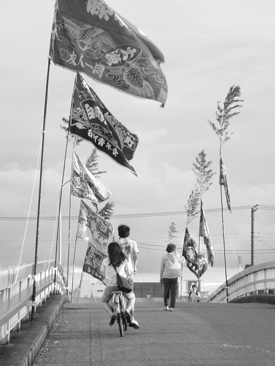 gmo_46's tweet image. 船橋