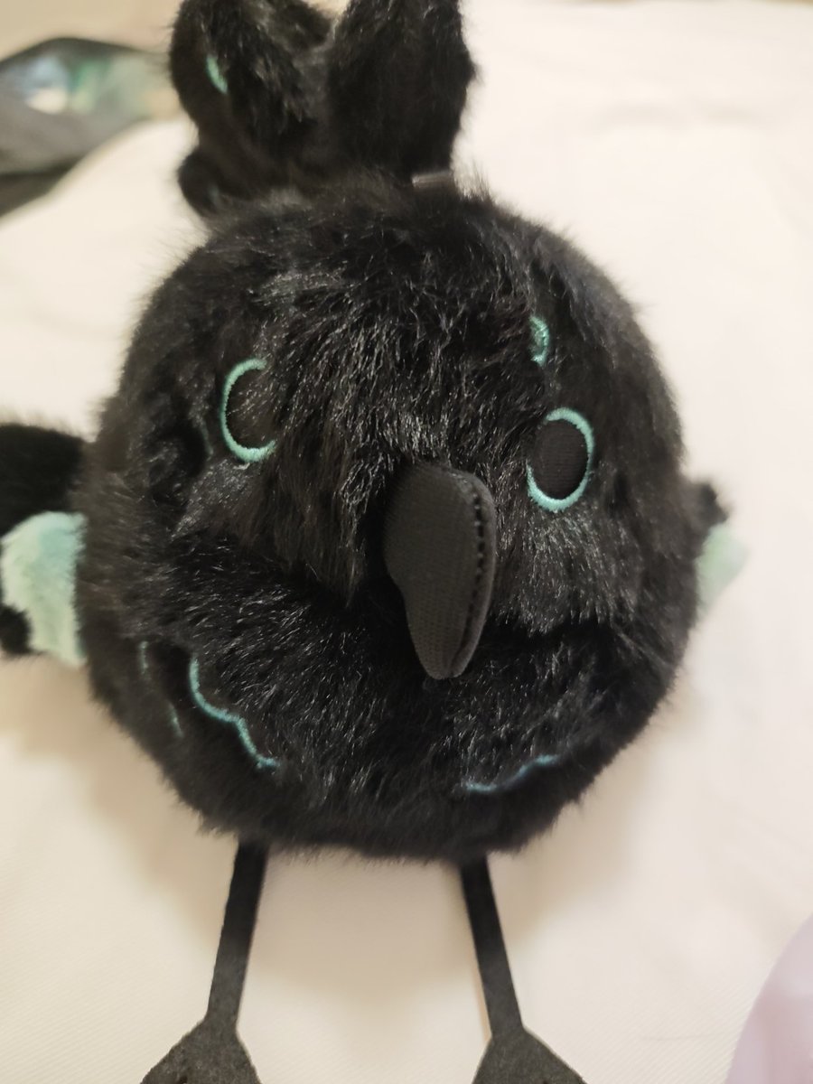 RandomNuri65789's tweet image. Say hello to my new pet