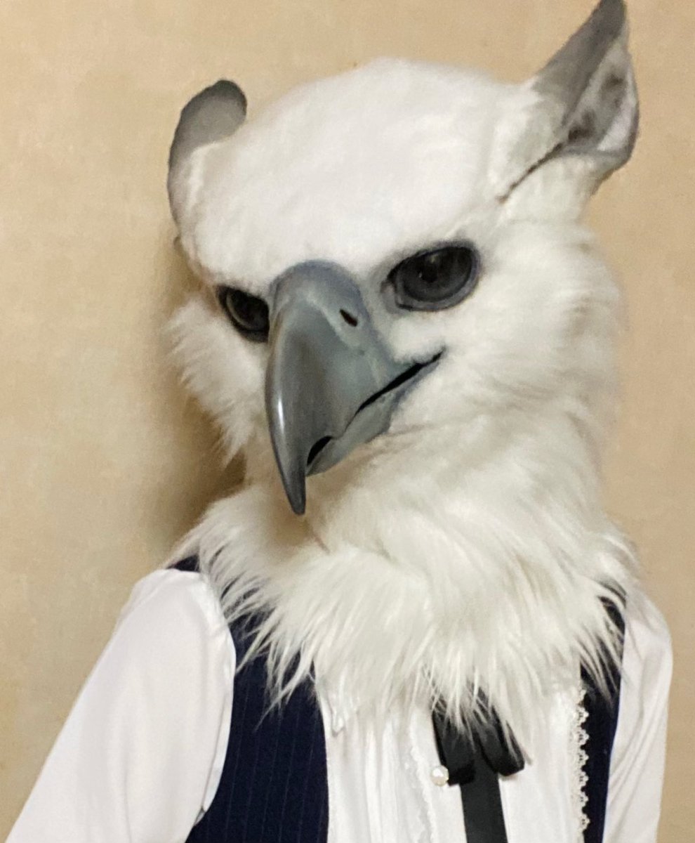 Navy_gull's tweet image. Hey