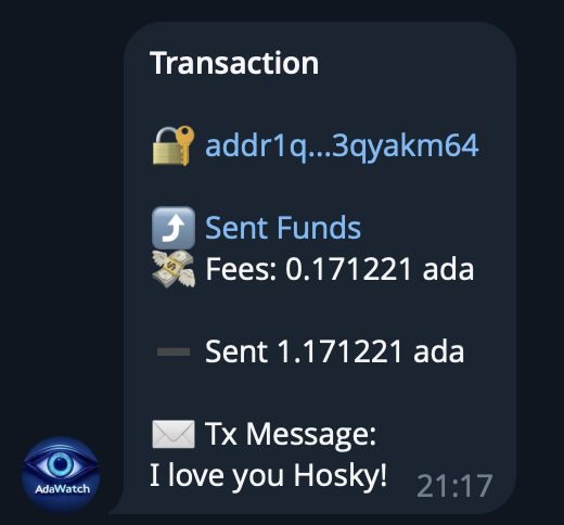 AdaMatic + AdaWatch (@adawatchbot) on Twitter photo Just added a tiny feature to <a href="/AdaWatchBot/">AdaMatic + AdaWatch</a>, should a transaction have a metadata message attached to it, its content will be displayed in both the telegram and discord notification message Just added a tiny feature to <a href="/AdaWatchBot/">AdaMatic + AdaWatch</a>, should a transaction have a metadata message attached to it, its content will be displayed in both the telegram and discord notification message