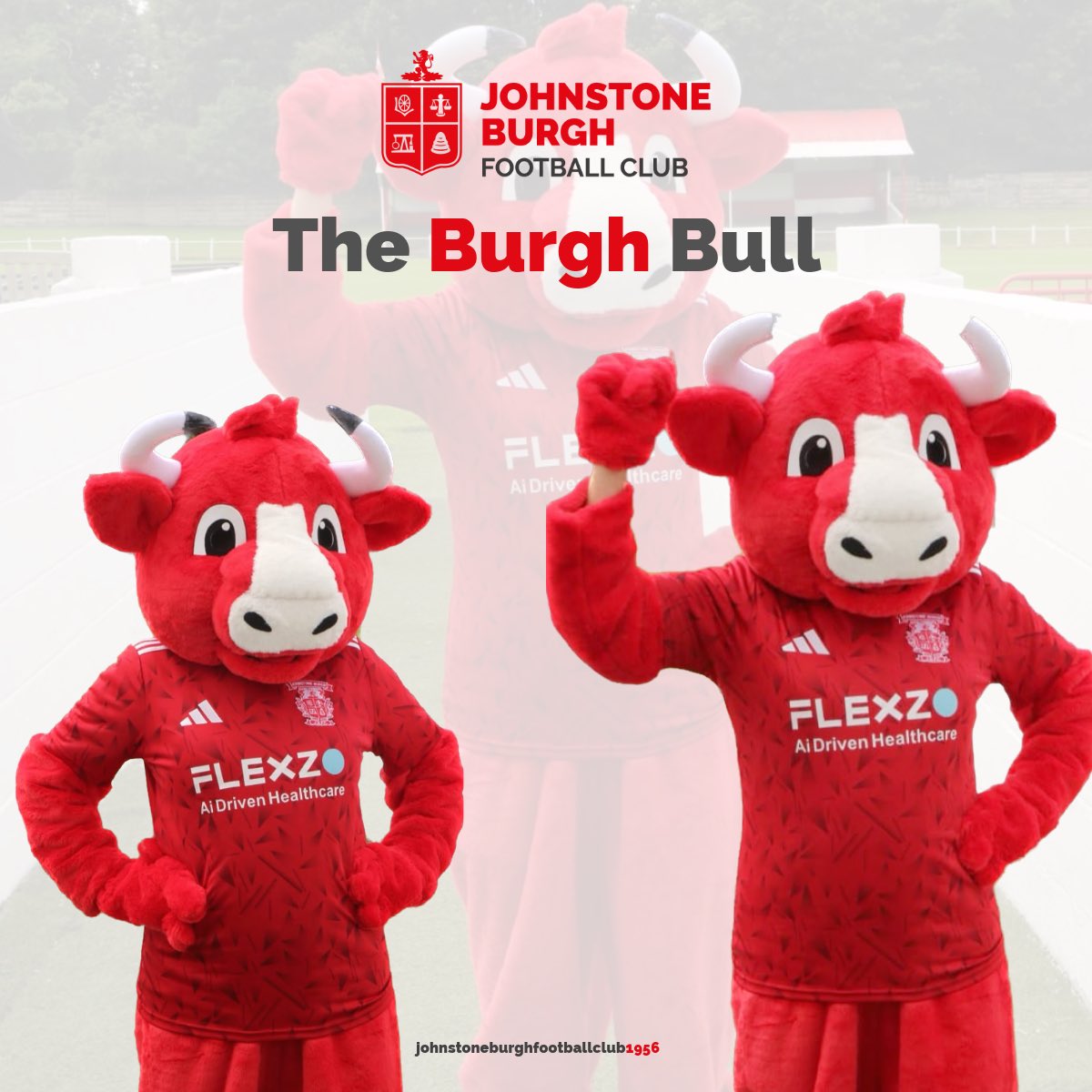 johnstone_burgh's tweet image. Johnstone Burgh FC can confirm that ‘Burgh Bull’ has signed a season long contract at Keanie Park.
Murdo added ‘ .. he will definitely be a big hit with the home fans and that’s why we brought him here’
Welcome to Keanie Park … BB 🇦🇹
.. as a footnote we are looking for a name…