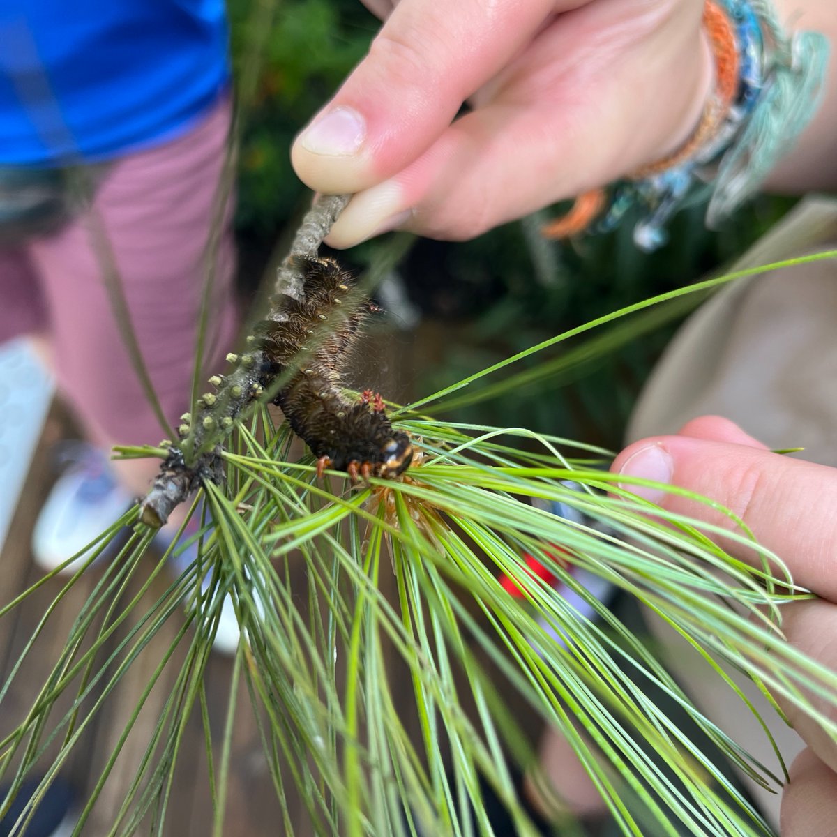Ohio State Parks & Watercraft (@ohstateparks) on Twitter photo One week left to hit the <a href="/OhioStateFair/">Ohio State Fair</a>! 🎡
Don’t miss the <a href="/ohiodnr/">OhioDNR</a> Natural Resources Park—especially the Nature Center in Camper Village near the gift shop. Cool exhibits, Ohio wildlife facts, and a meet-and-greet with Mr. Squeakers the turtle! 🐢
<a href="/OHHeartofitAll/">Ohio, The Heart of it All</a> One week left to hit the <a href="/OhioStateFair/">Ohio State Fair</a>! 🎡
Don’t miss the <a href="/ohiodnr/">OhioDNR</a> Natural Resources Park—especially the Nature Center in Camper Village near the gift shop. Cool exhibits, Ohio wildlife facts, and a meet-and-greet with Mr. Squeakers the turtle! 🐢
<a href="/OHHeartofitAll/">Ohio, The Heart of it All</a>