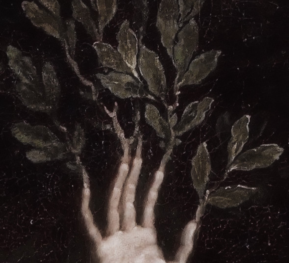 forestdevours's tweet image. ︎
⠀︎
︎              ︎          ︎   𝕽owan 𝕷ovelace.
︎          
scorpio. 1995. cat dad. writer, reader, gamer, and nap taker. horror lover. nature enthusiast. they/he pronouns. mdni; twenty-one plus.