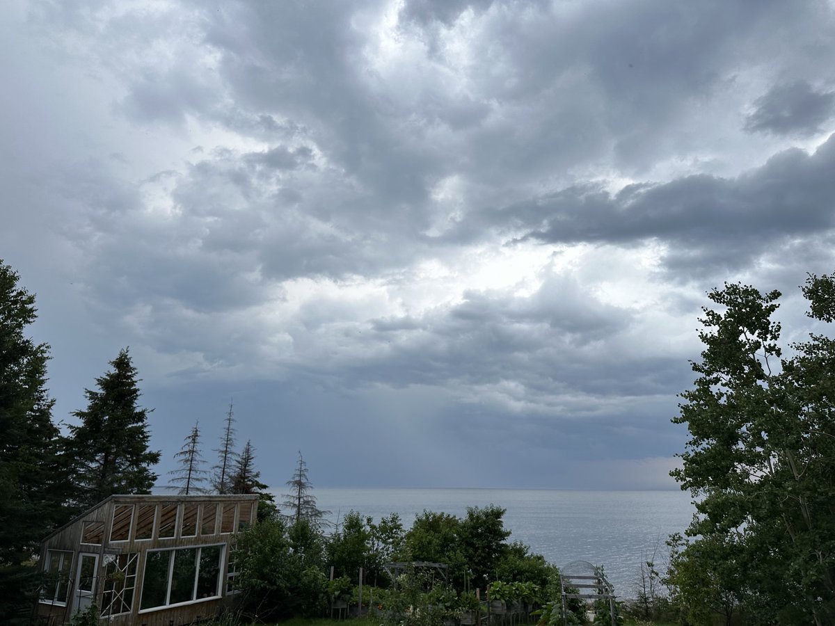 btleparadis's tweet image. Ça gronde ici 🌩️🌧️💨
