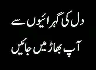 Parinday_'s tweet image. آج میں نے بہت ساری سستی سیلیبرٹیز اور فالو بیک نہ کرنے والے نیلے پرندوں کو ٹھکانے لگایا ۔۔۔باقیوں کا نمبر کل آۓ گا ان شاءاللہ 😺