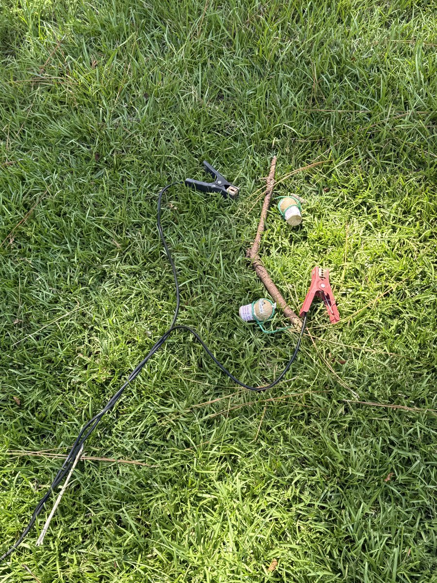 Lhmisme's tweet image. If you live in the woods you been here before 😆😆😆 Stick was about to get the bizzzzznessss…….