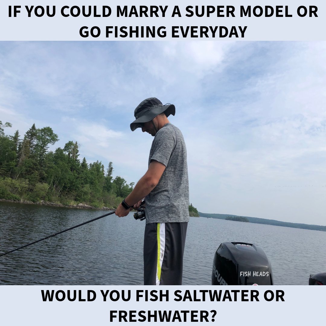 Fish Heads tweet media