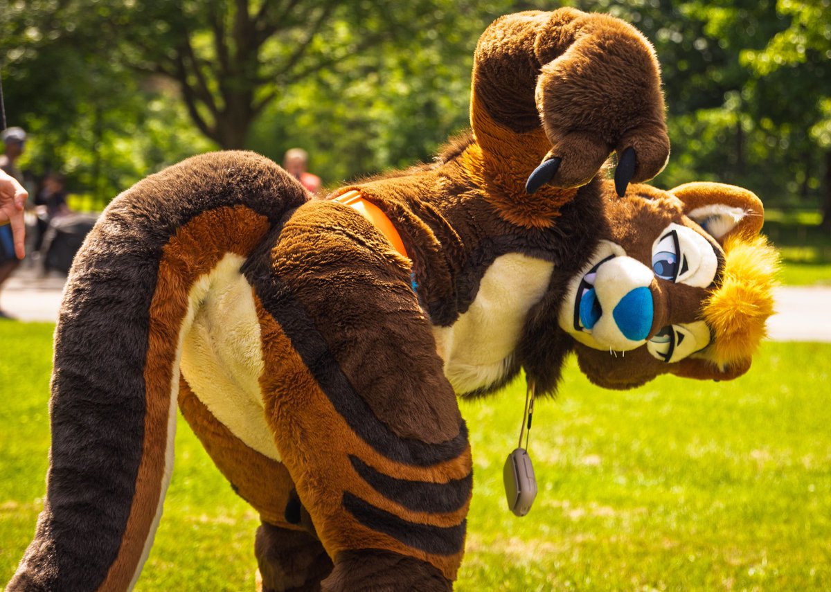 (📸: <a href="/Kaiko_dotter/">Kaïko the dotter</a>)