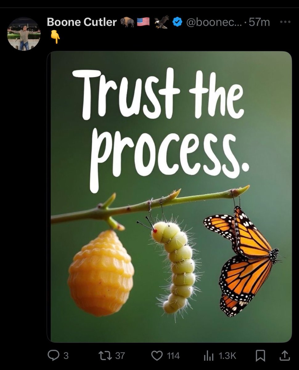 _LITM_'s tweet image. Is Boone inadvertently telling us NOT to trust the (man-made) process bc it’s not the right process? Or did the PYSOP expert really not notice the error? 🤔 New perspectives welcomed!