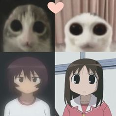P0lyblank's tweet image. 