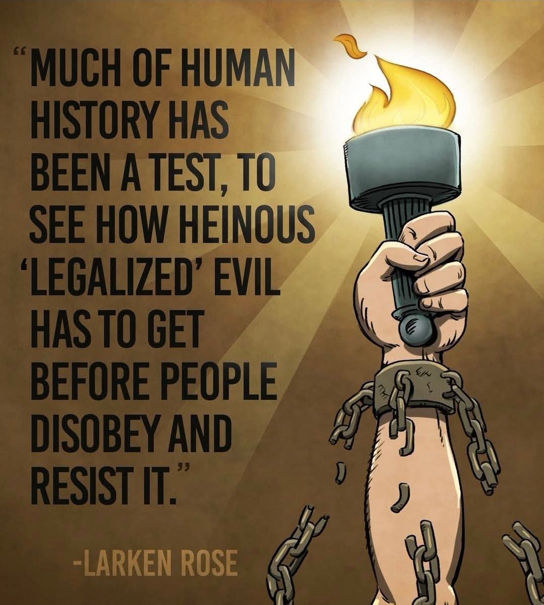 BarbBarbedWire's tweet image. 