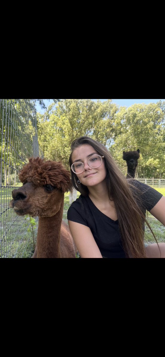 Scrambledmegx's tweet image. Everyone meet Trigger &amp;amp; Chico 🦙 ❤️