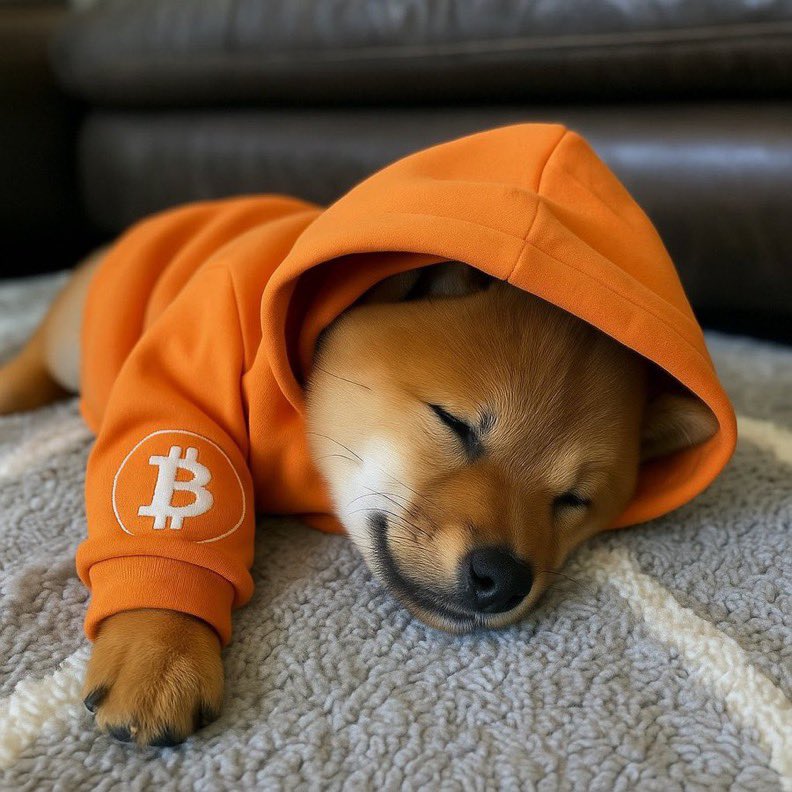 ColussoGa56138's tweet image. Bora acordar $DOG