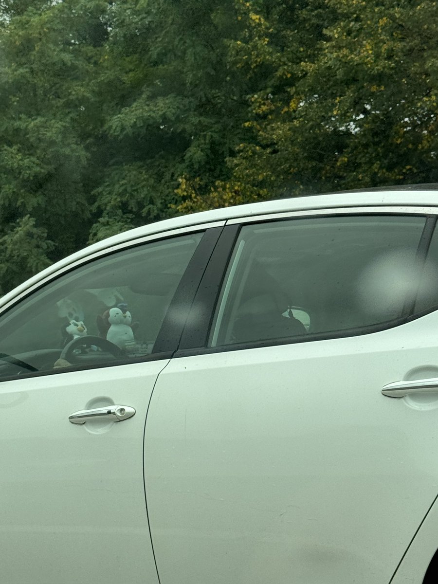 Pudgy Penguins has won the distribution game.

This car next to me on the highway driven by an old woman has a pudgy plushie on her dashboard.