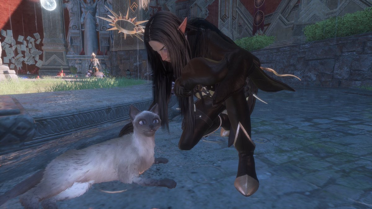 fauxprinz's tweet image. "dorian what did you do while you were away on another planet?"
pet the street babies.