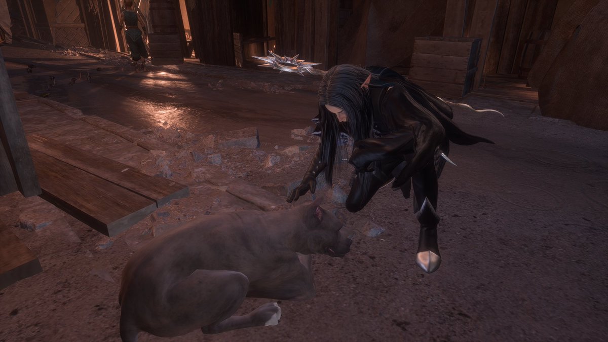 fauxprinz's tweet image. "dorian what did you do while you were away on another planet?"
pet the street babies.