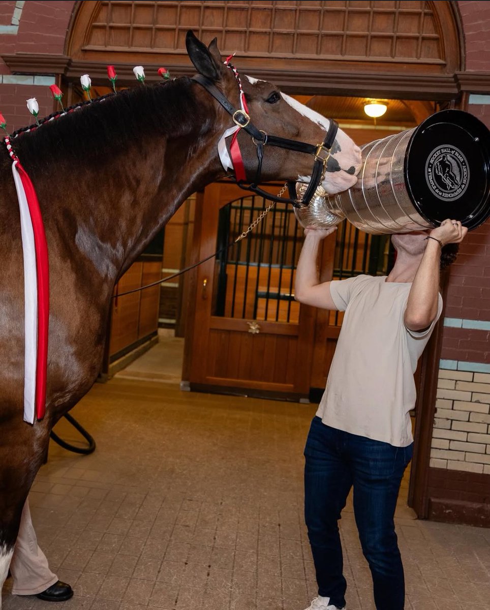 SensFanNL's tweet image. Chabot kissed the cup