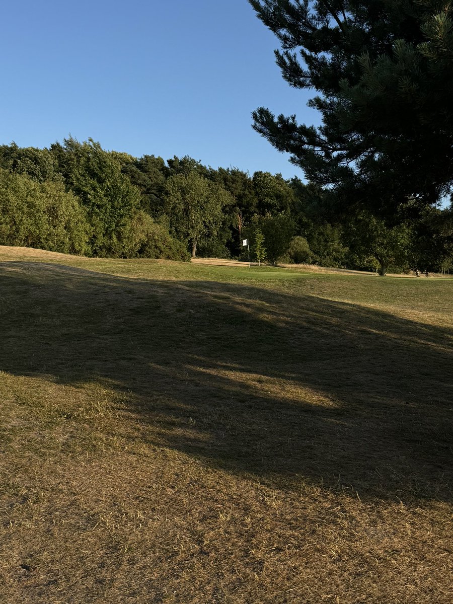 Sensational month to be fair 🫡