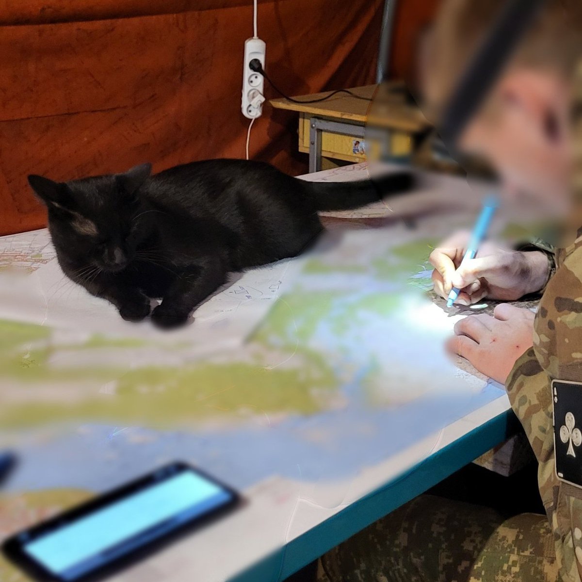 d9ndy's tweet image. контрнаступ відкладається по причині - кіт, вимбачте