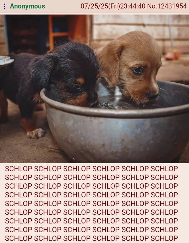 DOGDIRECT0R's tweet image. 