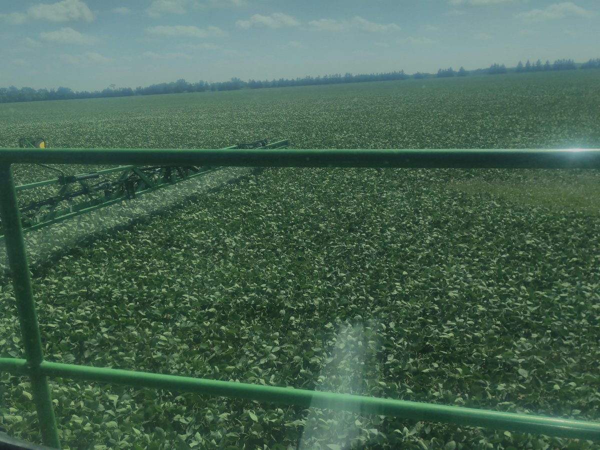 Weekends are for putting in that extra effort to supply the best quality IP Soybeans for our valued overseas customers!