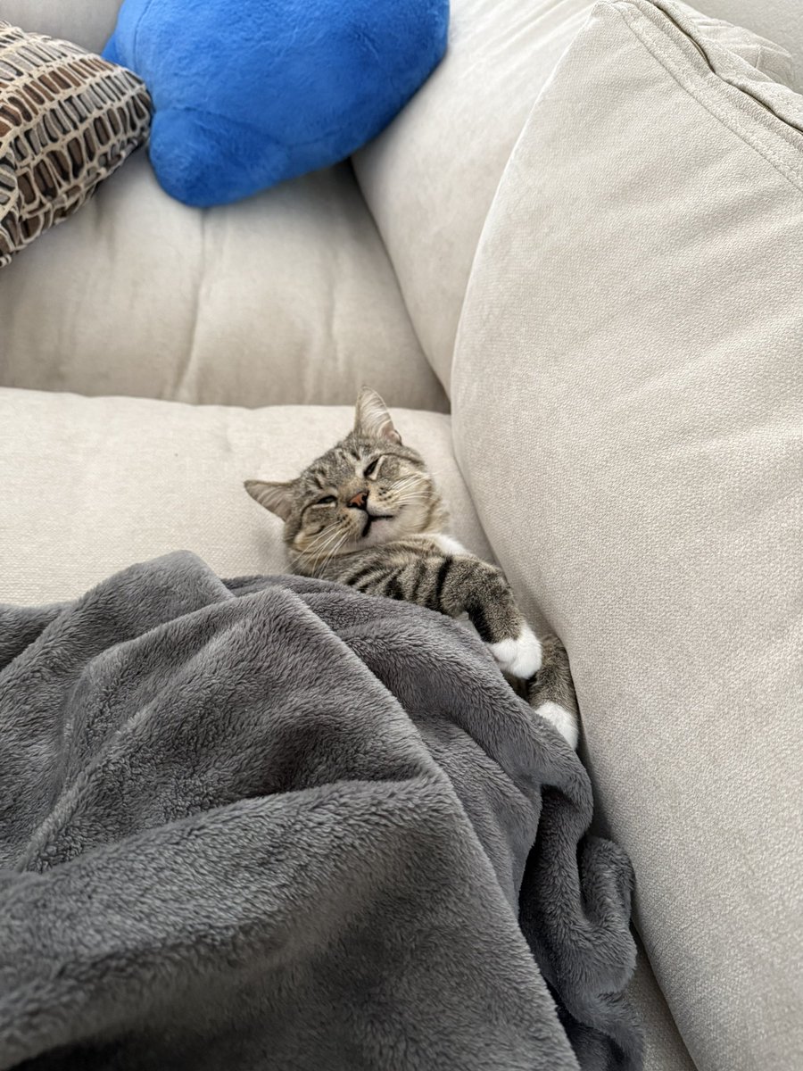 Niztopia's tweet image. meet my son boots