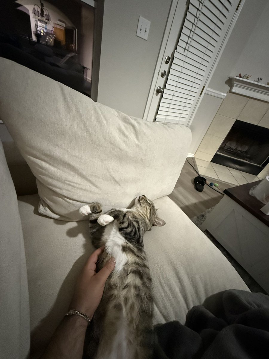 Niztopia's tweet image. meet my son boots