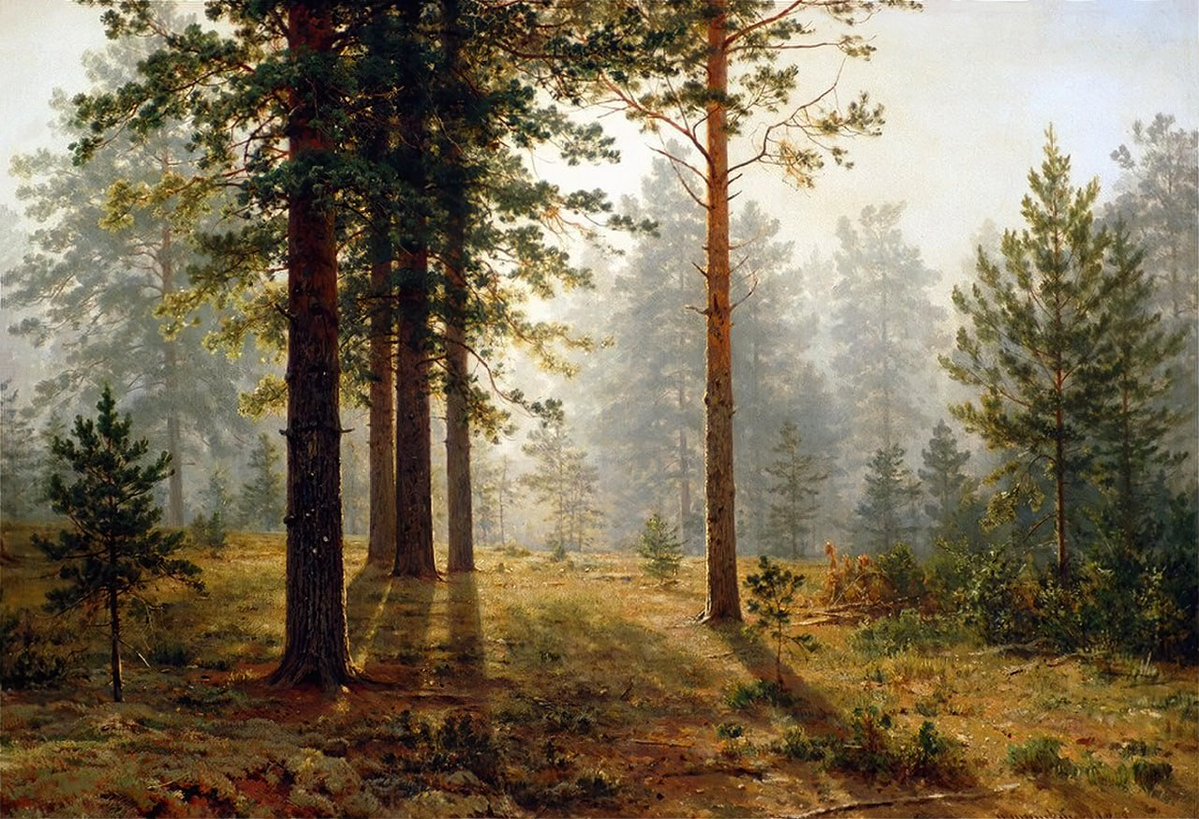 Alexfromsp13746's tweet image. "Туман в сосновом лесу", 1888.
Художник Иван Иванович Шишкин