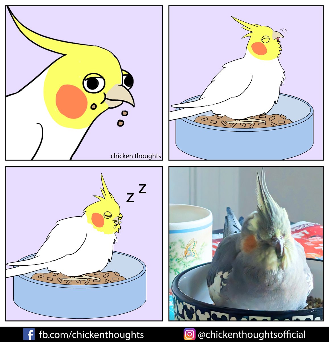 ChickyThoughts's tweet image. food coma