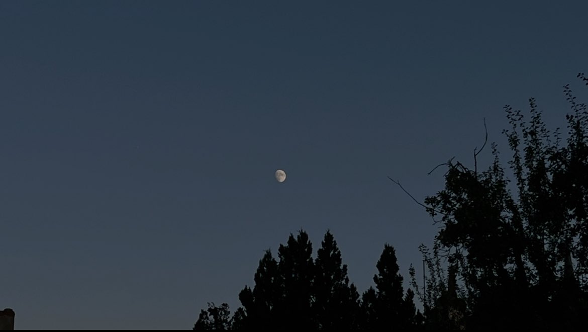 tsukimiina's tweet image. moon in july