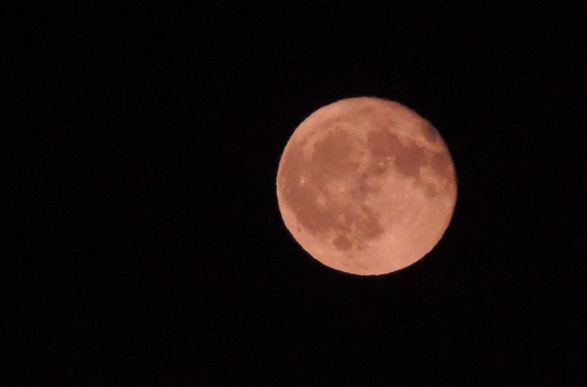 tsukimiina's tweet image. moon in july