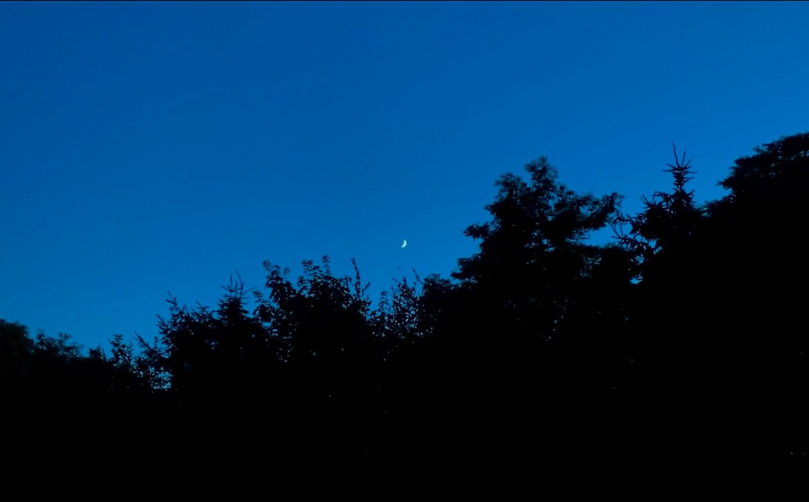 tsukimiina's tweet image. moon in july