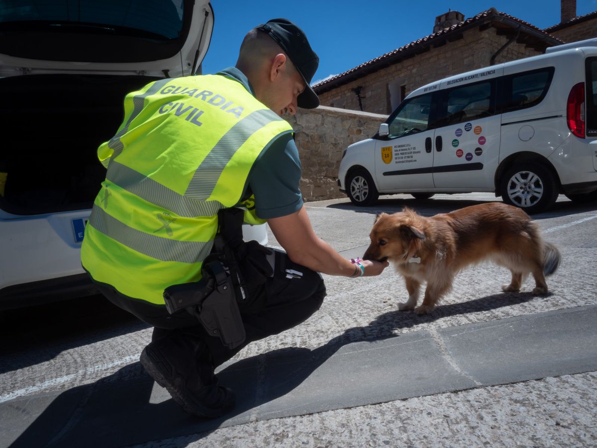 NavarraGC's tweet image. El respeto hacia los animales es un reflejo de nuestra humanidad
El esfuerzo y sacrificio por la seguridad no tiene horario, esta noche nuestras patrullas velarán por tu descanso
✨✨✨🌙
Buenas ✨🌙
✨✨✨✨✨🌙
Noches ✨✨✨🌙