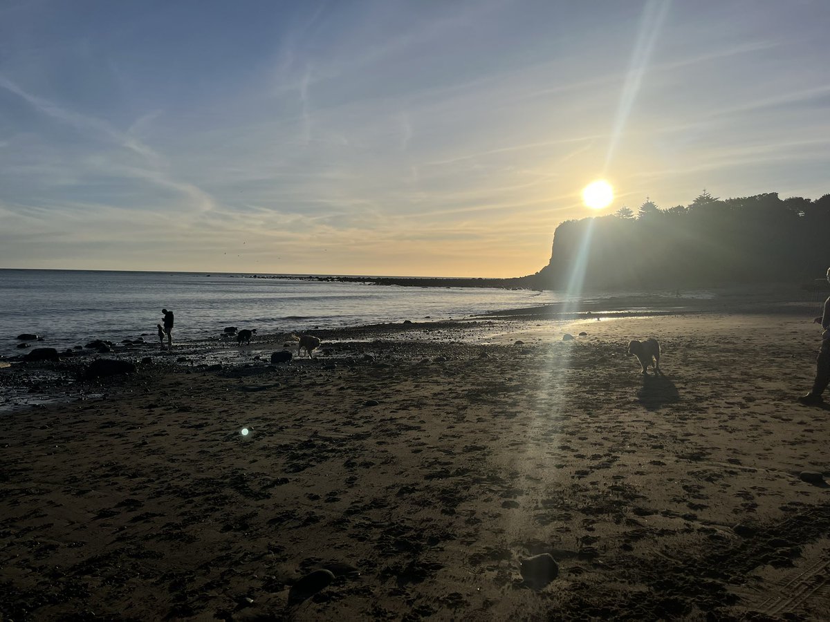 A stunning evening for dog plays at the beach 😍