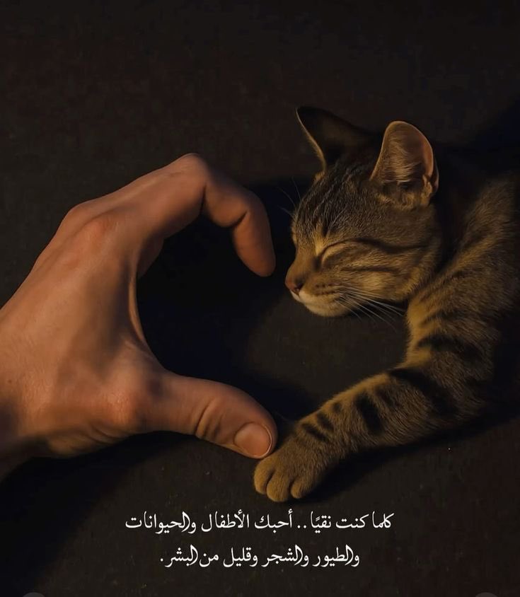 Depression_A2's tweet image. 