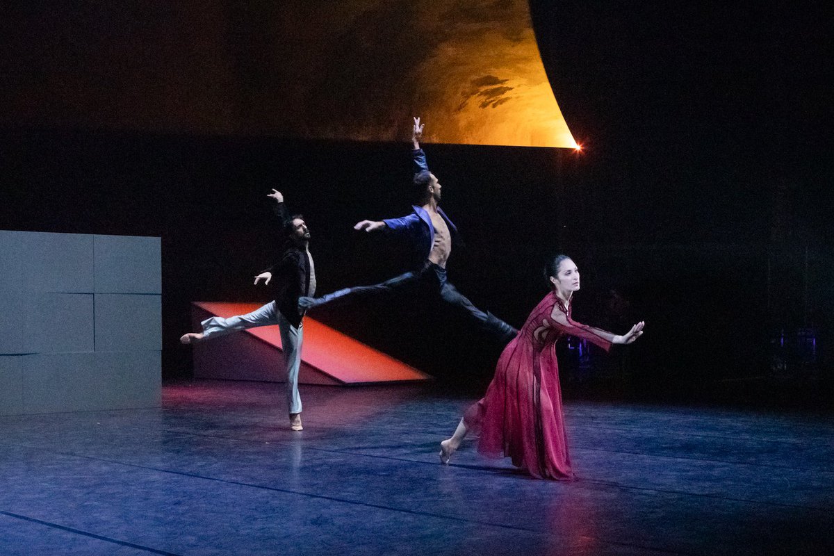 Marco Betta tweet media